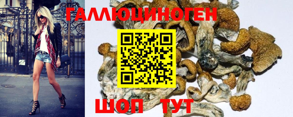 Галлюциногенные грибы мухоморы Набережные Челны