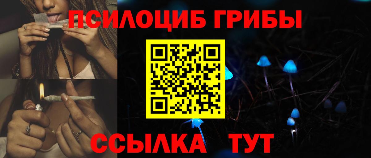 Псилоцибиновые грибы мухоморы Набережные Челны