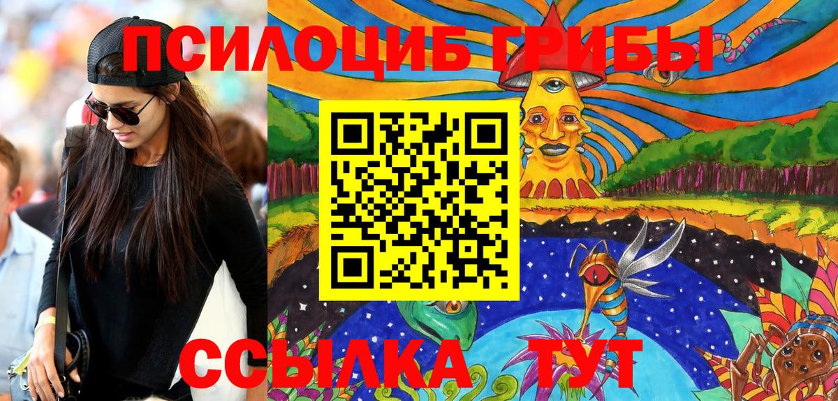 Псилоцибиновые грибы Psilocybe  Набережные Челны  цены   Псилоцибиновые грибы Cubensis 